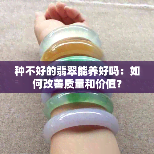 种不好的翡翠能养好吗：如何改善质量和价值？