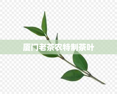 厦门老茶农特制茶叶