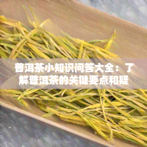 普洱茶小知识问答大全：了解普洱茶的关键要点和疑问解答