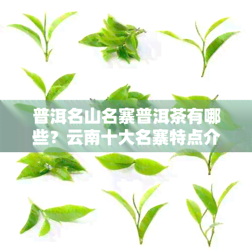 普洱名山名寨普洱茶有哪些？云南十大名寨特点介绍及行情分析。