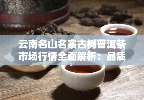 云南名山名寨古树普洱茶市场行情全面解析：品质、价格、投资潜力一网打尽