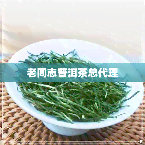 老同志普洱茶总代理