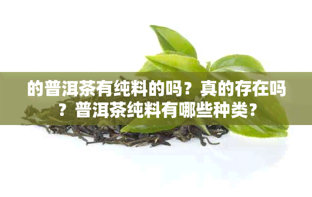 的普洱茶有纯料的吗？真的存在吗？普洱茶纯料有哪些种类？