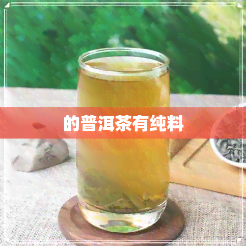 的普洱茶有纯料