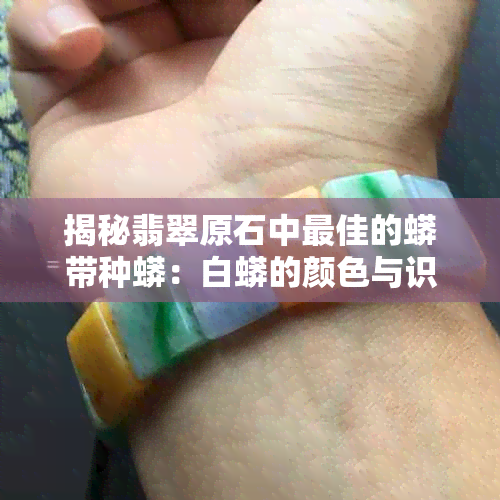 揭秘翡翠原石中更佳的蟒带种蟒：白蟒的颜色与识别方法