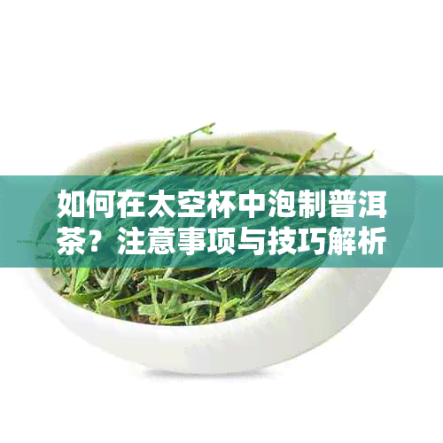 如何在太空杯中泡制普洱茶？注意事项与技巧解析