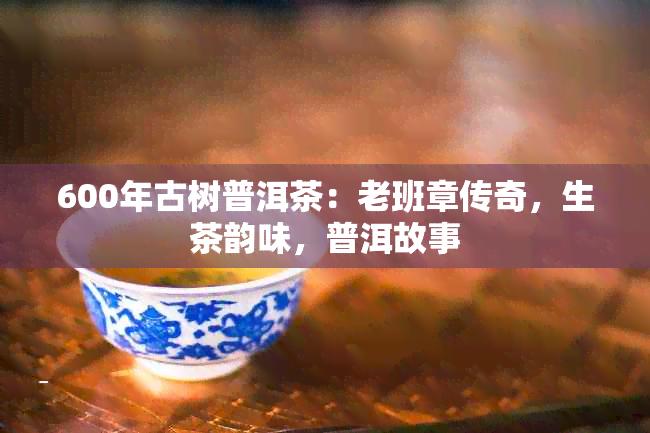 600年古树普洱茶：老班章传奇，生茶韵味，普洱故事