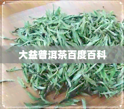 大益普洱茶百度百科