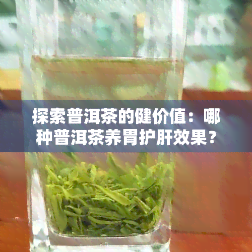 探索普洱茶的健价值：哪种普洱茶养胃护肝效果？