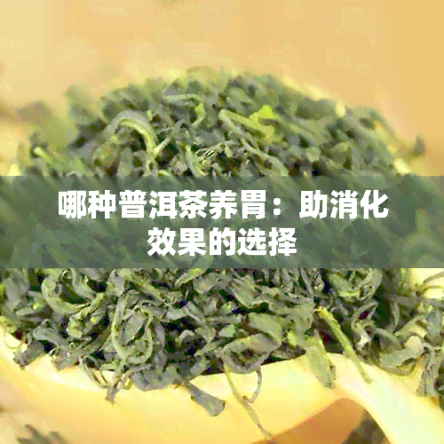 哪种普洱茶养胃：助消化效果的选择