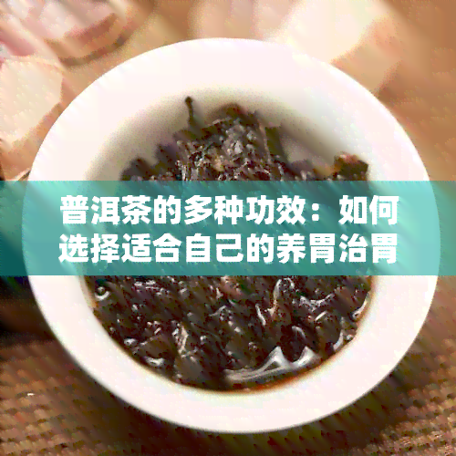 普洱茶的多种功效：如何选择适合自己的养胃治胃茶品