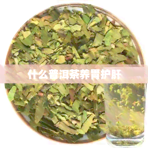 什么普洱茶养胃护肝