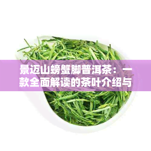 景迈山螃蟹脚普洱茶：一款全面解读的茶叶介绍与品鉴指南