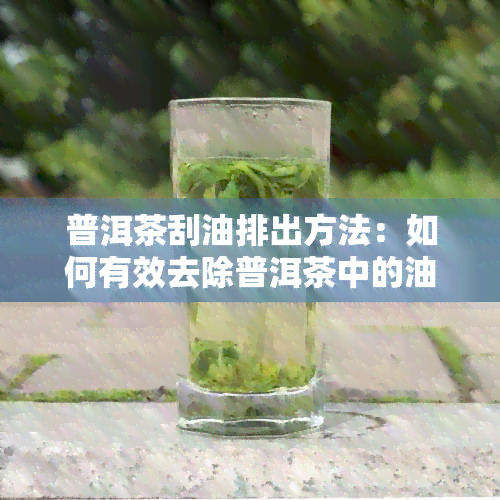 普洱茶刮油排出方法：如何有效去除普洱茶中的油脂？