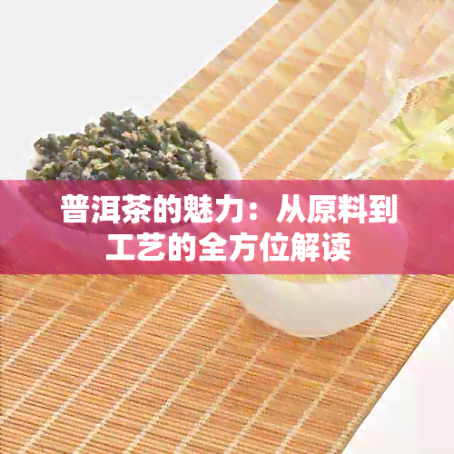 普洱茶的魅力：从原料到工艺的全方位解读