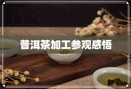 普洱茶加工参观感悟