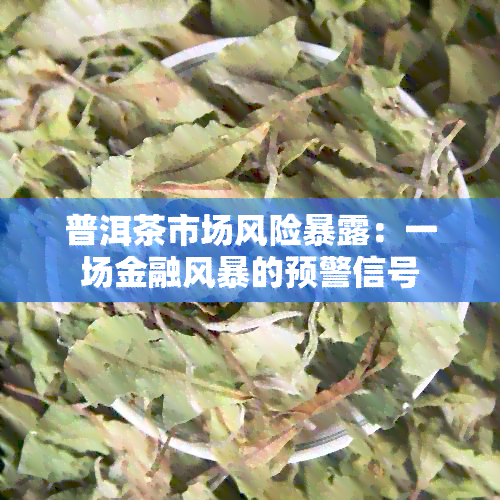 普洱茶市场风险暴露：一场金融风暴的预警信号