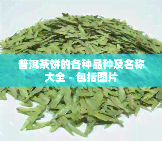 普洱茶饼的各种品种及名称大全 - 包括图片