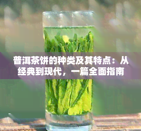 普洱茶饼的种类及其特点：从经典到现代，一篇全面指南