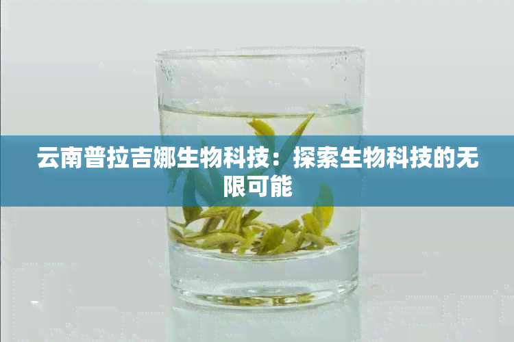 云南普拉吉娜生物科技：探索生物科技的无限可能