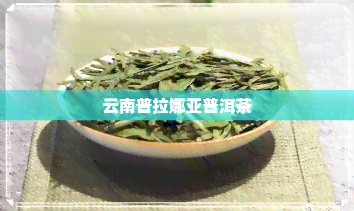 云南普拉娜亚普洱茶