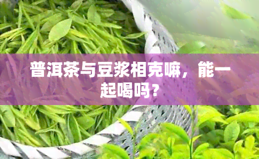 普洱茶与豆浆相克嘛，能一起喝吗？