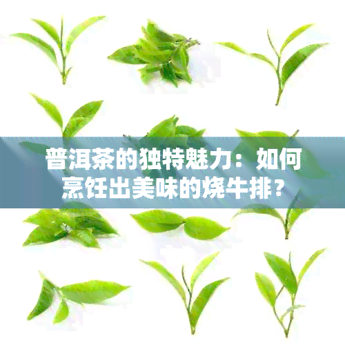 普洱茶的独特魅力：如何烹饪出美味的烧牛排？