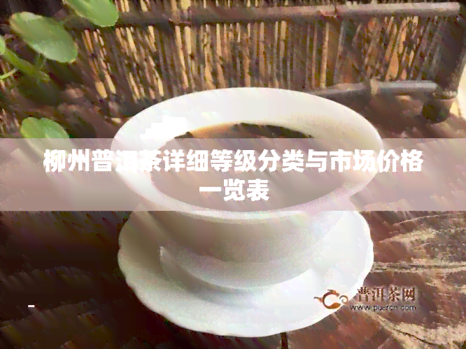 柳州普洱茶详细等级分类与市场价格一览表