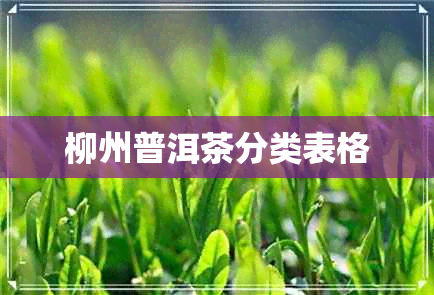 柳州普洱茶分类表格