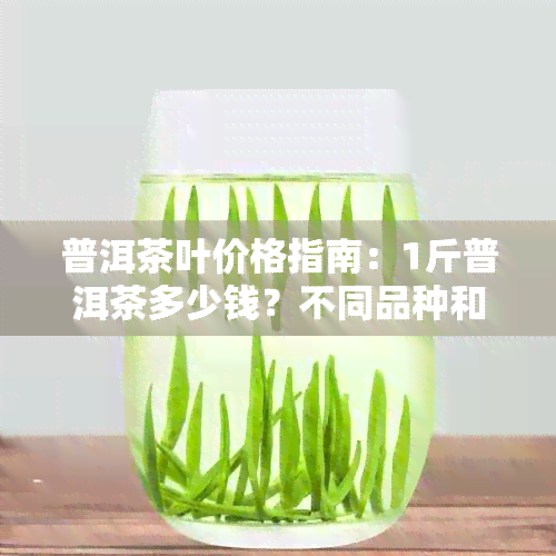 普洱茶叶价格指南：1斤普洱茶多少钱？不同品种和品质的价格分析