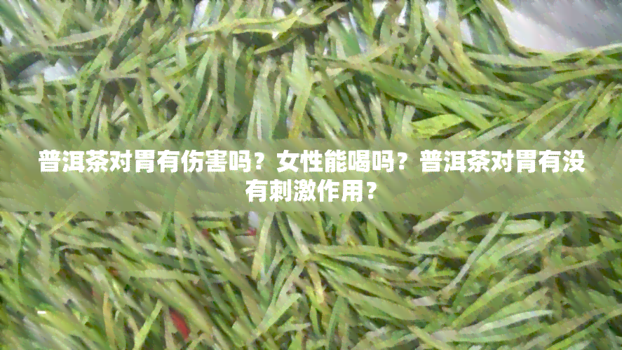 普洱茶对胃有伤害吗？女性能喝吗？普洱茶对胃有没有刺激作用？