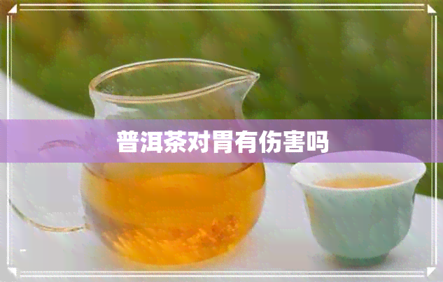 普洱茶对胃有伤害吗