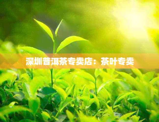 深圳普洱茶专卖店：茶叶专卖