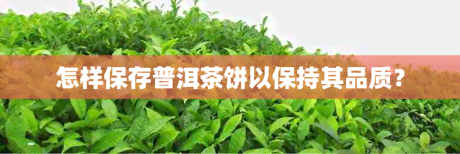 怎样保存普洱茶饼以保持其品质？