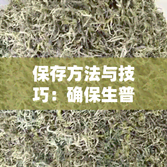 保存方法与技巧：确保生普茶饼品质持久，长其保质期