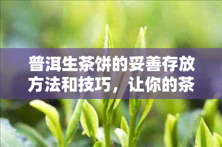 普洱生茶饼的妥善存放方法和技巧，让你的茶叶保持品质与风味