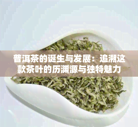 普洱茶的诞生与发展：追溯这款茶叶的历渊源与独特魅力