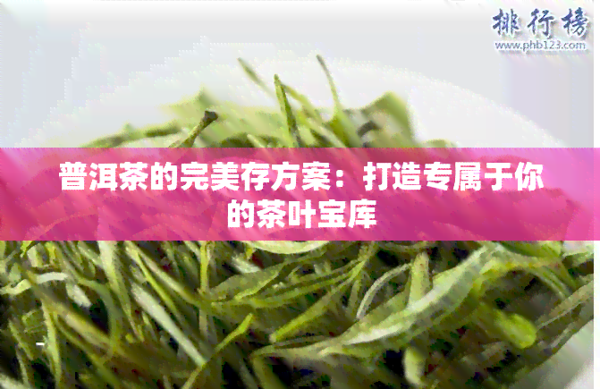 普洱茶的完美存方案：打造专属于你的茶叶宝库