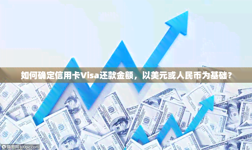 如何确定信用卡Visa还款金额，以美元或人民币为基础？