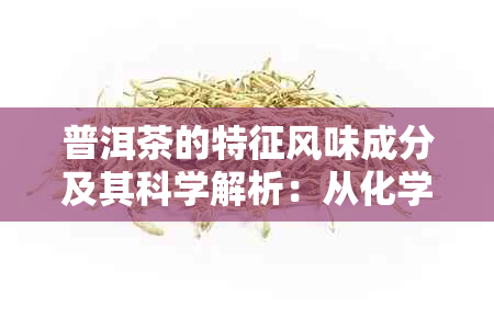 普洱茶的特征风味成分及其科学解析：从化学角度了解普洱茶的神奇魅力