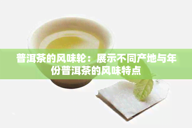 普洱茶的风味轮：展示不同产地与年份普洱茶的风味特点