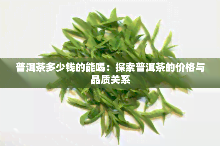 普洱茶多少钱的能喝：探索普洱茶的价格与品质关系