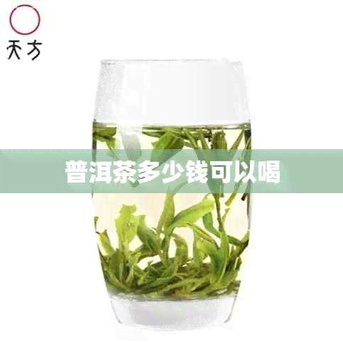 普洱茶多少钱可以喝