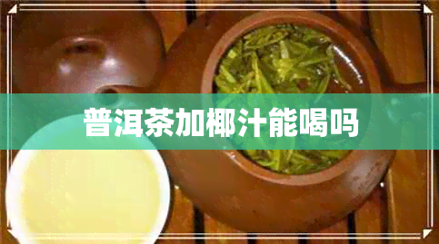 普洱茶加椰汁能喝吗