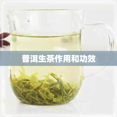 普洱生茶作用和功效