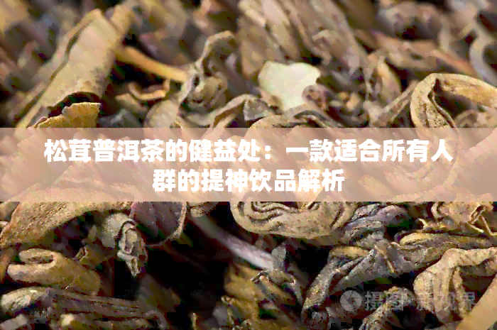 松茸普洱茶的健益处：一款适合所有人群的提神饮品解析