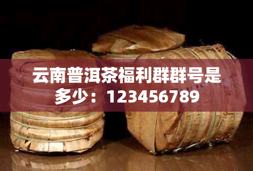 云南普洱茶福利群群号是多少：123456789