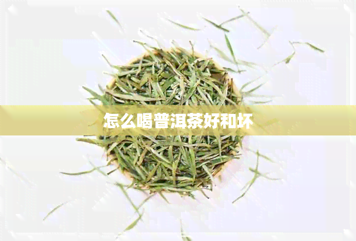 怎么喝普洱茶好和坏