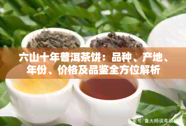 六山十年普洱茶饼：品种、产地、年份、价格及品鉴全方位解析