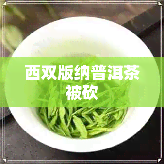 西双版纳普洱茶被砍